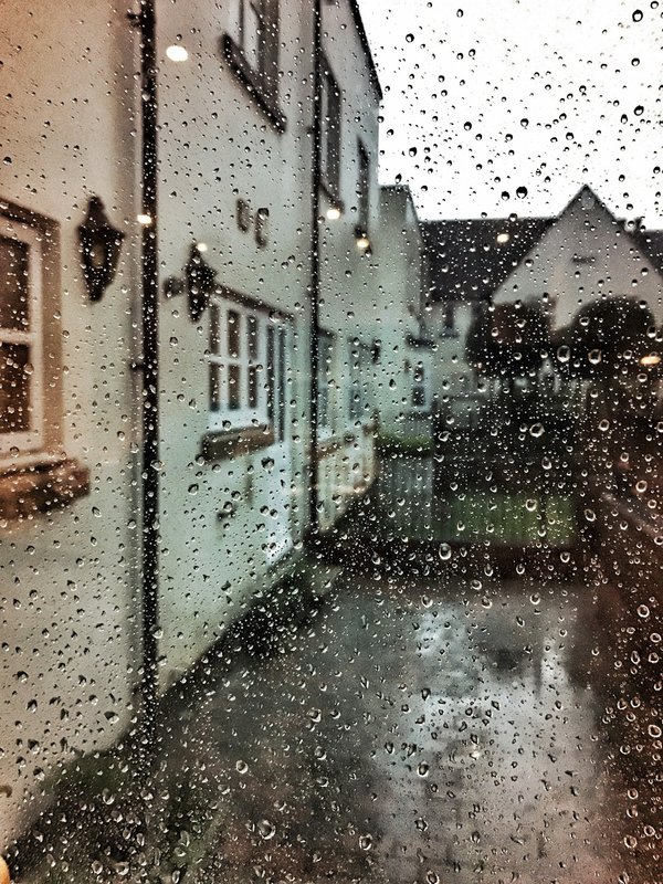 Récupérateur d'eau de pluie : guide complet pour bien choisir