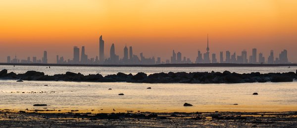 Les secrets d'un paysagiste professionnel dans l'oise révélés